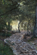 6 Tage Coaching-Walk auf Mallorca