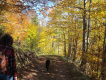 3 Tage Wandercoaching für Frauen im Schwarzwald