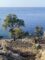 Kreta Oase – Coaching-Retreat für Resilienz, Lebendigkeit und Tiefgang, Oktober 2025
