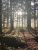 2 Tage, intensives 1:1 Retreat “Heile Dein inneres Kind” – Selbstfindung / Selbstwert