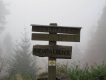 Wandercoaching im Schwarzwald für Frauen über 50